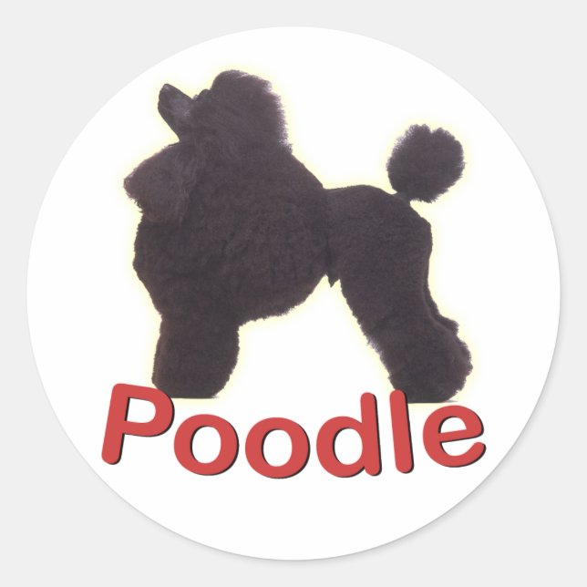 Redonda Cradle Black Poodle Pegatina (Anverso)