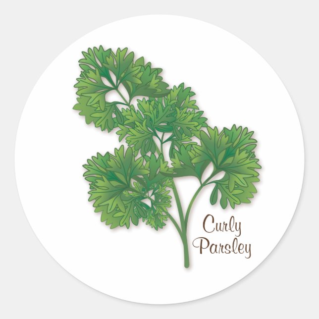Redonda Curly Parsley Round Pegatina (Anverso)