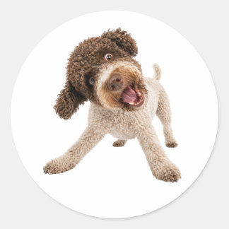 Redonda Cute Pegatina de Vinilo de Perro Rizado Lagotto Ro