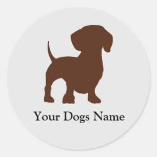 Redonda Dachshund Dog Pegatina