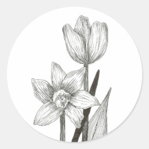 Redonda Daffodil y Tulip pegatina