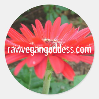 Redonda Daisy Pegatina