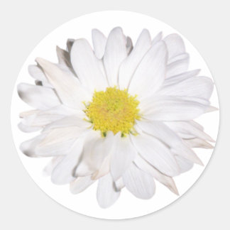 Redonda Daisy Pegatina