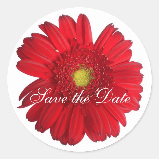 Redonda Daisy Personalizado Pegatina Floral (Anverso)