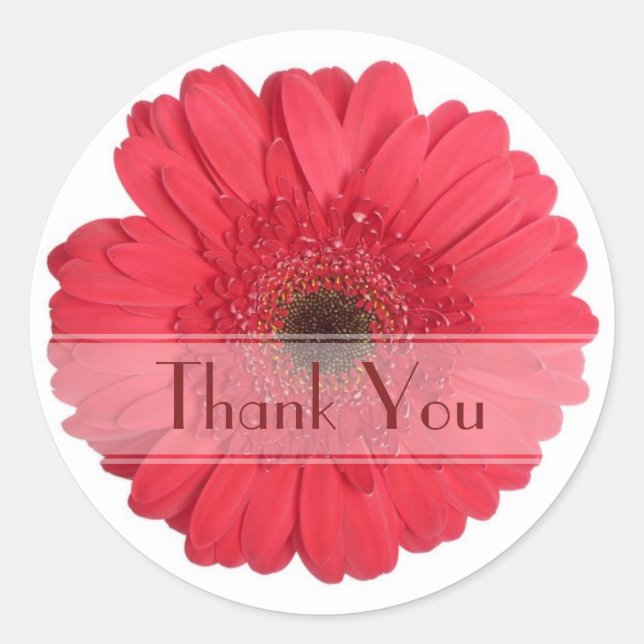 Redonda Daisy Personalizado Pegatina Floral (Anverso)