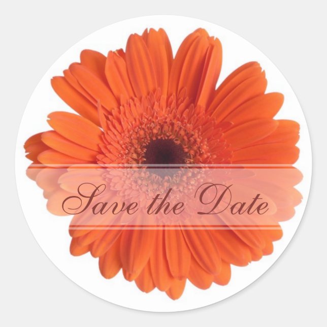 Redonda Daisy Personalizado Pegatina Floral (Anverso)