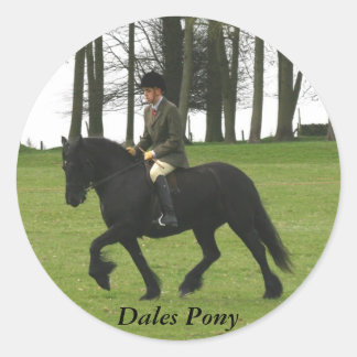 Redonda Dales Pony Pegatina