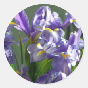 Redonda Decretos de Pegatina de arte de flores de irises m