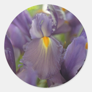 Redonda Decretos de Pegatina de arte de flores de irises m