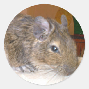 Redonda Degu Relaxing Pegatina