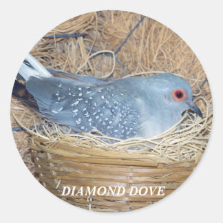 REDONDA DIAMOND DOVE ON NEST PEGATINA