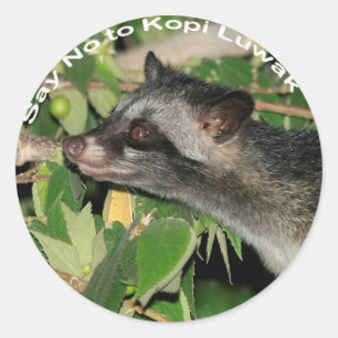 Redonda Diga no al pegatina de Kopi Luwak