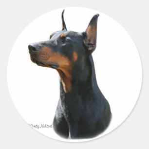 Redonda Dobermann Pinscher jefe Pegatina negro