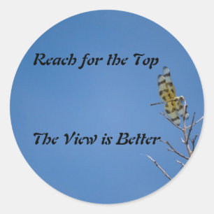 Redonda Dragon Fly Pegatina