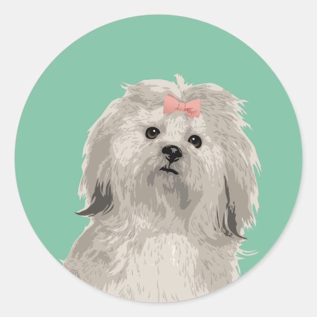 Redonda Dulce Lhasa Apso Pegatina para los amantes del per (Anverso)