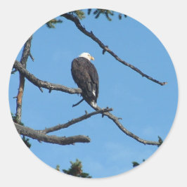 Redonda Eagle Pegatina