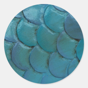 Redonda El Mar-Caballo escala al pegatina