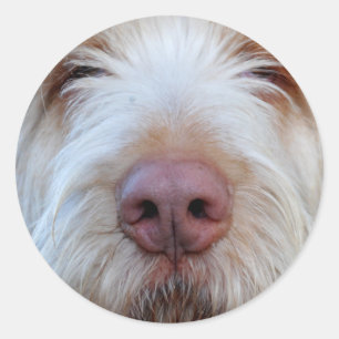 Redonda El Pegatina de Booper de Luigi