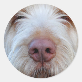 Redonda El Pegatina de Booper de Luigi