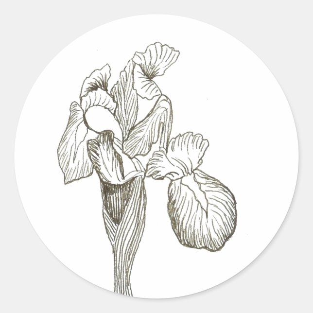 Redonda Elegante Pegatina Iris (Anverso)