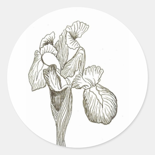 Redonda Elegante Pegatina Iris (Anverso)