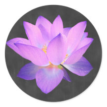 Elegante Pegatina Purple Lotus