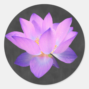 Redonda Elegante Pegatina Purple Lotus