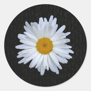 Redonda Escritura en francés negro y Pegatina