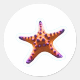 Redonda Estrella de Mar del Océano Vibrante - Pegatina de 