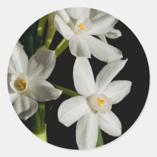 Redonda Evento De Primavera De Flores Blancas Y Pegatina B