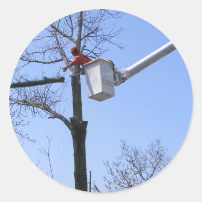 Redonda Extracción de árbol ~ pegatina (Anverso)