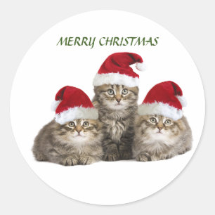 Redonda Feliz Navidad gatitos Pegatina