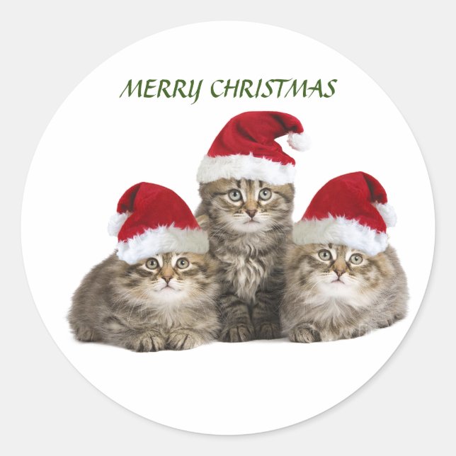 Redonda Feliz Navidad gatitos Pegatina (Anverso)