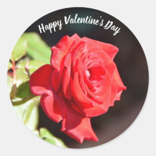 Redonda Feliz Rosa de San Valentín pegatina