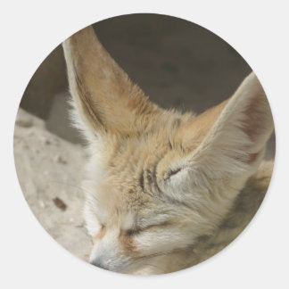 Redonda Fennec Fox Pegatina
