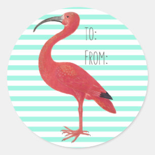 Redonda Flamingo y rayas Verde azuladas - Pegatina Bella A