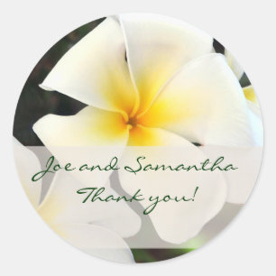 Redonda Flor de Plumeria Blanca Gracias Pegatina