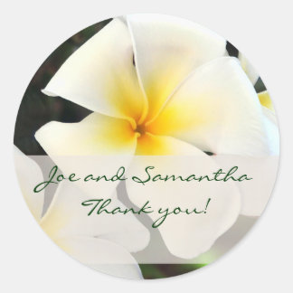 Redonda Flor de Plumeria Blanca Gracias Pegatina