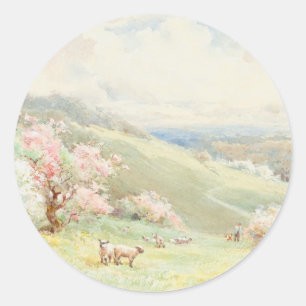 Redonda Flores en el Pegatina Meadow