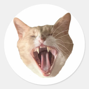 Redonda Floyd Pegatina - ¡Con Boca Abierta!