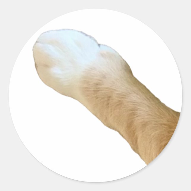 Redonda Floyd Pegatina - ¡Paw! (Anverso)