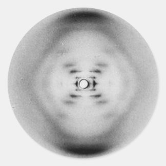 Redonda Fotografía 51 de Rosalind Franklin | Pegatina de A