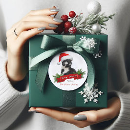 Redonda Funny Gato Sarcástico Amigos Gorra Pegatina de Nav