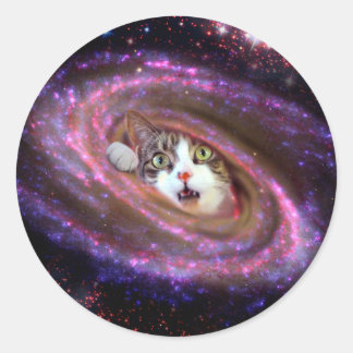 Redonda Galaxy Space Cats LOL Funny Pegatina