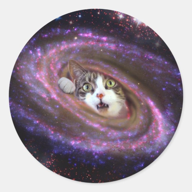 Redonda Galaxy Space Cats LOL Funny Pegatina (Anverso)