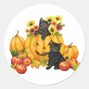 Redonda gatito en pegatina de la calabaza