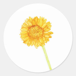 Redonda Gerbera daisy Pegatina