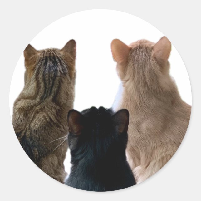 Redonda Gerónimo, Henri y Floyd Pegatina (Anverso)