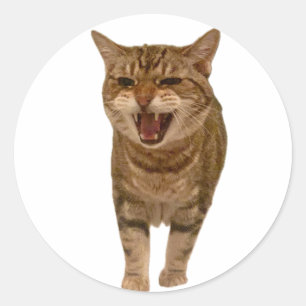 Redonda Gerónimo Pegatina - ¡Meowing!