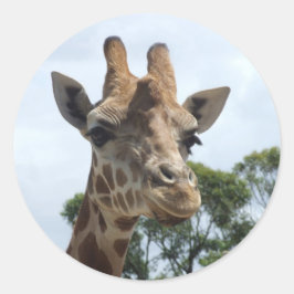 Redonda Giraffe Pegatina - Ronda